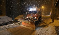 'Karla Mücadele çalışmalarımız aralıksız sürüyor'