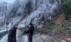 Kozlu’da heyelan meydana geldi