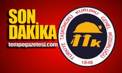 Üretim durdu: Armutçuk davası 27 Şubat'a ertelendi