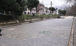 Başkan Erdem, Çaydamar ve Terakki'deki çalışmaları denetledi