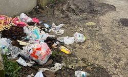 Zonguldak'ta çöp sorunu çileden çıkardı