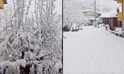Zonguldak'ta yüksek kesimlerde kar kalınlığı 30 cm'yi aştı