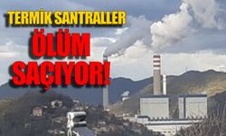 Korkunç termik santral gerçeği; 'ZETES, 2 bin 453 insanın erken ölümüne neden oldu'