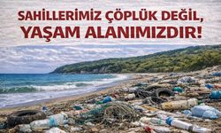 Çevrecilerden çöp eylemi