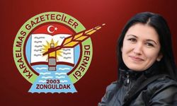 KGD'nin yeni başkanı İlknur Yılmaz İpekçi oldu
