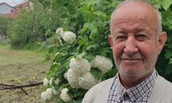 Aliş hayatını kaybetti