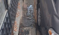 Olacağı buydu: Ulu orta çişini yaptı!