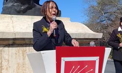 CHP Kadın Kolları’ndan 8 Mart Mesajı: 'Çare eşitliktedir...'