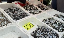 Zonguldak’ta balık fiyatları cep yakıyor: Mezgit 350 liraya dayandı