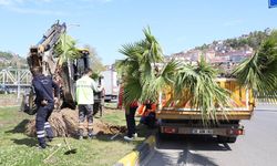 Zonguldak Belediyesi Ayyıldız Kavşağı’nda Peyzaj Çalışmalarını Sürdürüyor