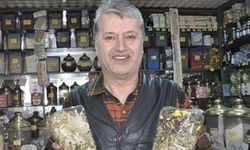 İsmail Yılmaz, beyin kanaması geçirdi