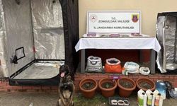 Evleri uyuşturucu serasına çevirmişler