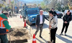 Gökçebey’de Atatürk Caddesi’nde park cepleri oluşturuluyor