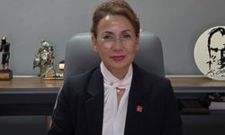 “Okullardaki silahlı saldırılar münferit değil”