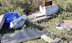 Zonguldak’ta Ayı Dehşeti: “Kovanları Çilingir Sofrasına Çevirdiler”