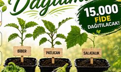 Gülüç Belediyesi’nden vatandaşlara 15 bin ücretsiz fide desteği