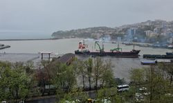 Zonguldak limanı sarıya boyandı