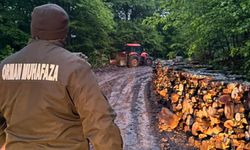 Zonguldak'ta ormanlara 7/24 sıkı denetim