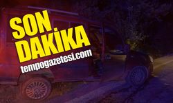 Uyuşturucu etkisindeki sürücü kaldırıma çıktı