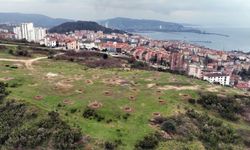 Ereğli'ye yeni piknik ve mesire alanı yapılıyor