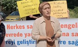 Kamyon isyanı: Kadınlar yol kapattı