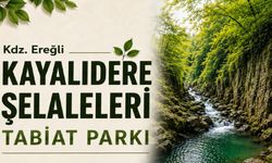 Kayalıdere şelaleleri Tabiat Parkı ilan edildi