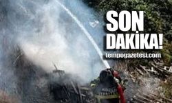 Kozlu'da anız yangını kontrol altına alındı