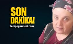 Zonguldak'ta eşek arısının soktuğu kadın hayatını kaybetti