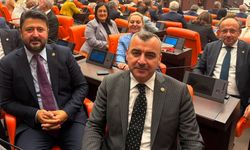 Ahmet Çolakoğlu, “Teröristler serbest bırakılacak” iddiasıyla tartışılan Çerçeve Yasa'ya 'Evet' dedi