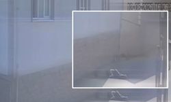 2’nci Kattan düştü… Yaşama tutunamadı