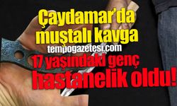 Çaydamar’da muştalı sadırı: 17 yaşındaki genç hastanelik oldu