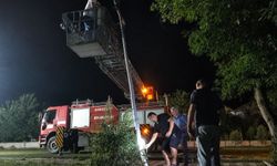 Gökçebey Tenekede Tavuk Festivali için geri sayım başladı