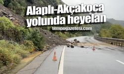 Alaplı-Akçakoca yolunda heyelan