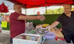 Tezgahlar palamutla şenlendi: 100 liradan satılıyor