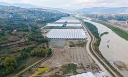 Çaycuma’da 14 bin metrekarelik teknolojik sera kuruluyor