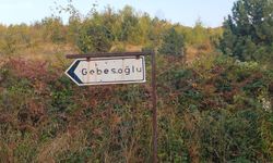 Çaydeğirmeni’nde yol kenarında askeri uçak mühimmatı bulundu
