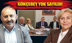 Masada Çaycuma var, Gökçebey yok!