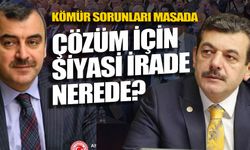 Kömürün sorunları masada, peki çözüm için siyasi irade nerede?