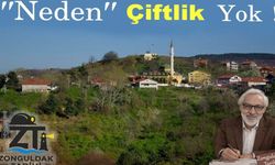 Zonguldak’ta neden çiftlik yok?