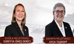 YENİ Parti’li vekiller halkı dinleyecek