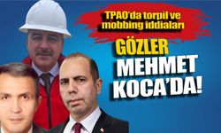 TPAO’da torpil ve mobbing iddiaları: Gözler Mehmet Koca’da!