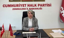 Olcay Can'ın yerine Çelik vekalet edecek