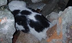 Enkazdan 6 gün sonra sağ çıktı