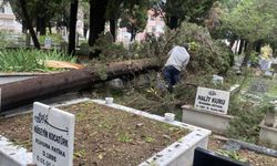 Şehir mezarlığında fırtınanın izleri silindi