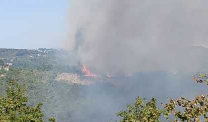 Alaplı’da ormanlık alanda yangın çıktı