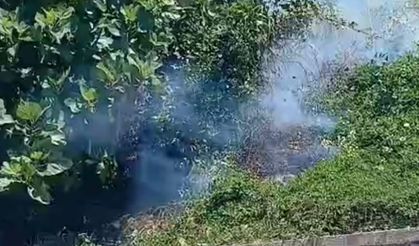 Elektrik telinde akıma kapılan karga, tarlada yangına neden oldu