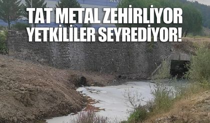 TAT Metal zehirliyor, yetkililer seyrediyor!..