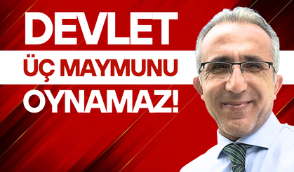 Devlet üç maymunu oynamaz!