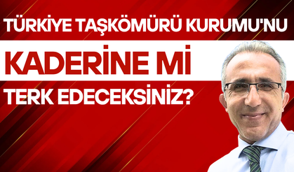 TTK'yı kaderine mi terk edeceksiniz?