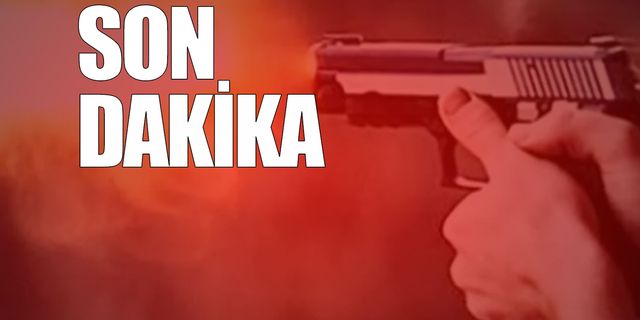 Alaplı'da silahlı kriz: Ekipler 1,5 saatte ikna etti